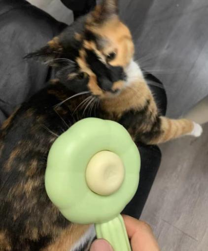 FurBuddy Self-Cleaning Brush