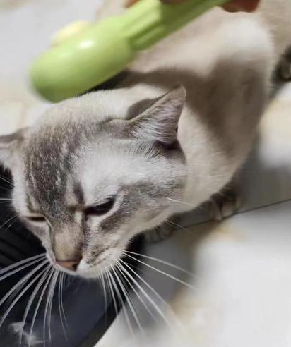 FurBuddy Self-Cleaning Brush