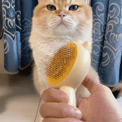 FurBuddy Self-Cleaning Brush
